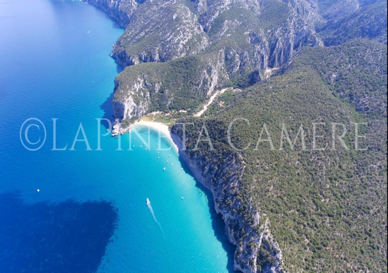 Casa Vacanza Gelsomino Cala Gonone Εξωτερικό φωτογραφία